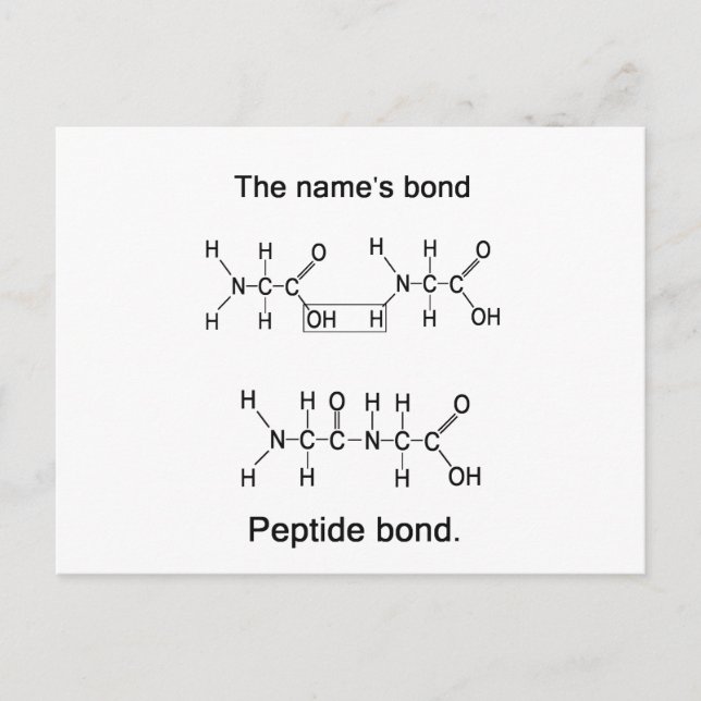 Die Bindung des Namens, Peptidbindung Postkarte (Vorderseite)