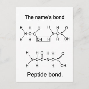 Die Bindung des Namens, Peptidbindung Postkarte