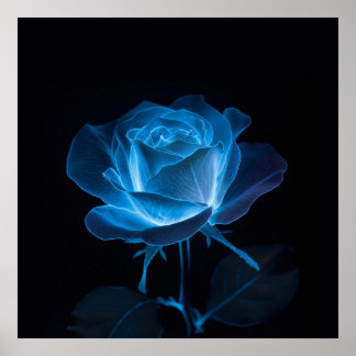 Die biolumineszente Blume der Blauen Rose auf Schw Poster