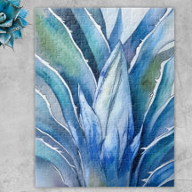 Die Blaue Agave