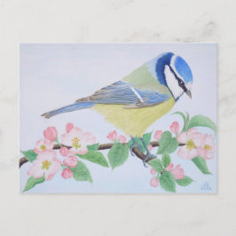 Die blauen Tits im Frühling Postkarte