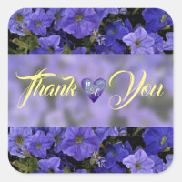 Die blauen violetten Wedding Petunien danken Ihnen
