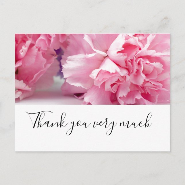 Die Blume der rosa Narben sind auf weißem Hintergr Postkarte (Vorderseite)