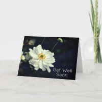 Die Blume des Anemone Garden werden bald gesund