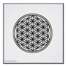 Die Blume des Lebens - Schwarz auf weißem Poster
