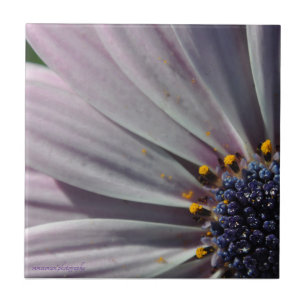 Die Blume innerhalb Fliese
