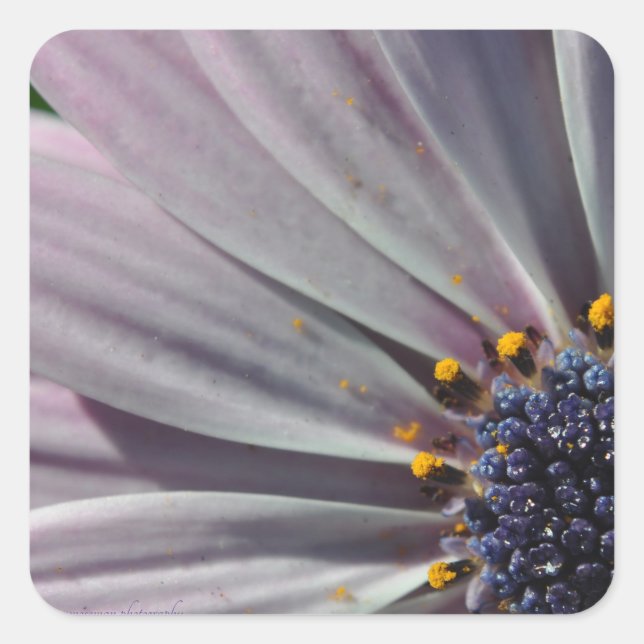 Die Blume innerhalb Quadratischer Aufkleber (Vorderseite)