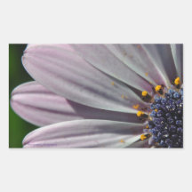 Die Blume innerhalb