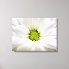 Die Blume ist ganz weiß. Blumenkunst zum Foto von Leinwanddruck