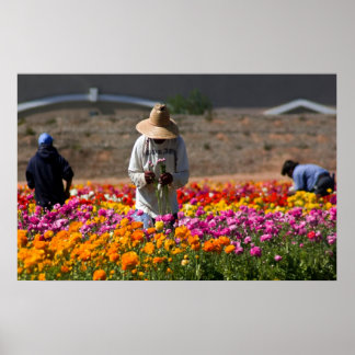 Die Blume Pickers Poster