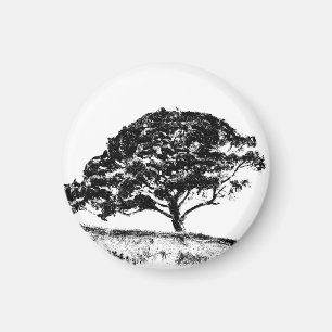 Die Bonaventura-Kiefer Magnet