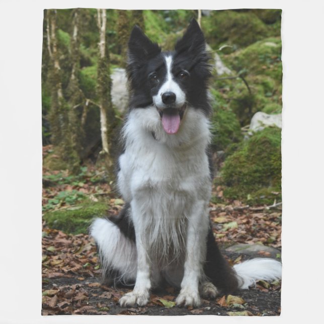 Die BORDER-COLLIE Fleecedecke (Vorderseite)