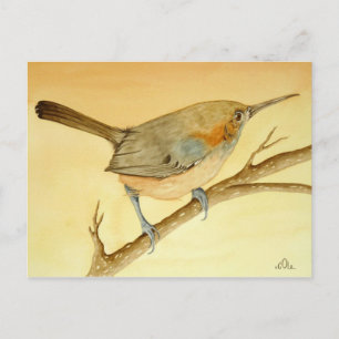 Die brasilianische Wren in einer Zweigniederlassun Postkarte
