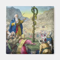 Die Brazen Schlange aus einer Bibel, gedruckt von