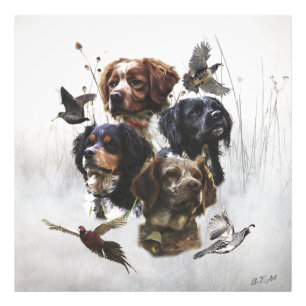 Die Bretagne-Spaniels, die Vogeljagdsaison Fotodruck