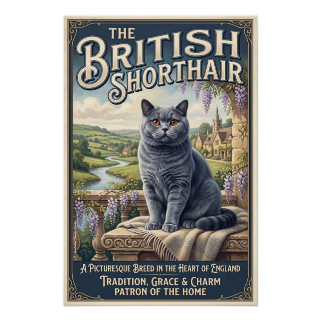 Die Britisch Kurzhaar  Poster (Vorderseite)