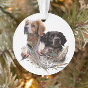 Die Brittany Spaniels,  Französische Brittany, Vog Ornament