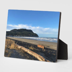 Die Bucht direkt am Meer, Oregon Fotoplatte