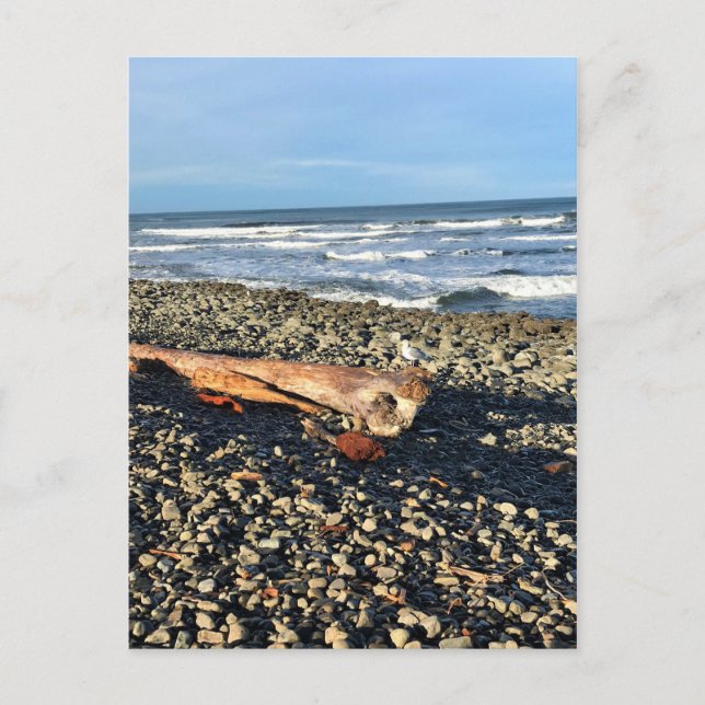 Die Bucht direkt am Meer, Oregon Postkarte (Vorderseite)