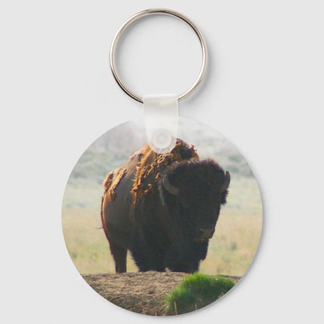 Die Buffalo-Sammlung II Schlüsselanhänger (Vorderseite)