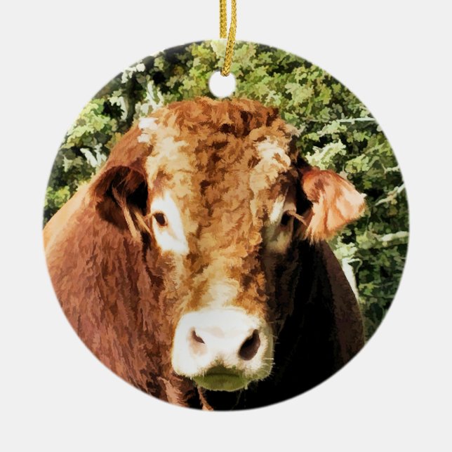 DIE BULL KERAMIK ORNAMENT (Vorne)