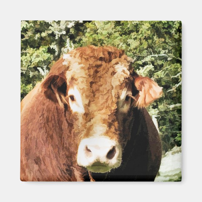 DIE BULL MAGNET (Vorne)