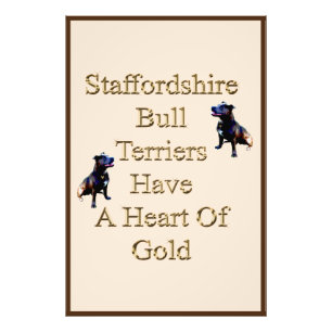 Die Bull Terriers von Staffordshire haben ein Herz Fotodruck
