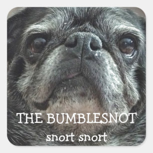 Die Bumblesnot-Aufkleber "Schnürstich" Quadratischer Aufkleber