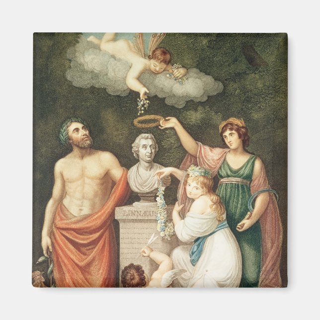 Die Büste von Linnaeus ehren Magnet (Vorne)