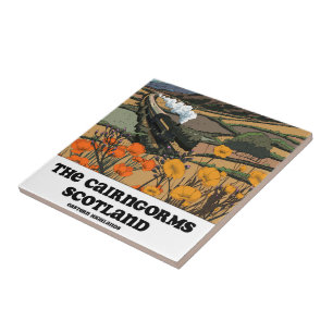 Die Cairngorms Schottland Fliese