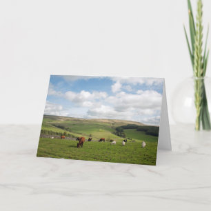 Die Cat and Fiddle Inn Postkarte