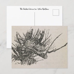 Die Cheshire-Katze im Baum Arthur Rackham Postkarte