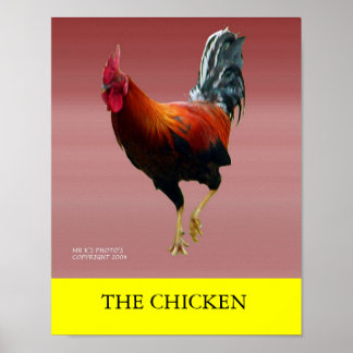 DIE CHICKEN POSTER