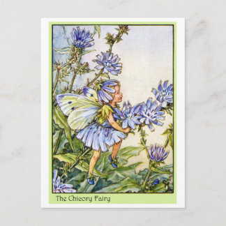 Die Chicoroer Fairy Postkarte