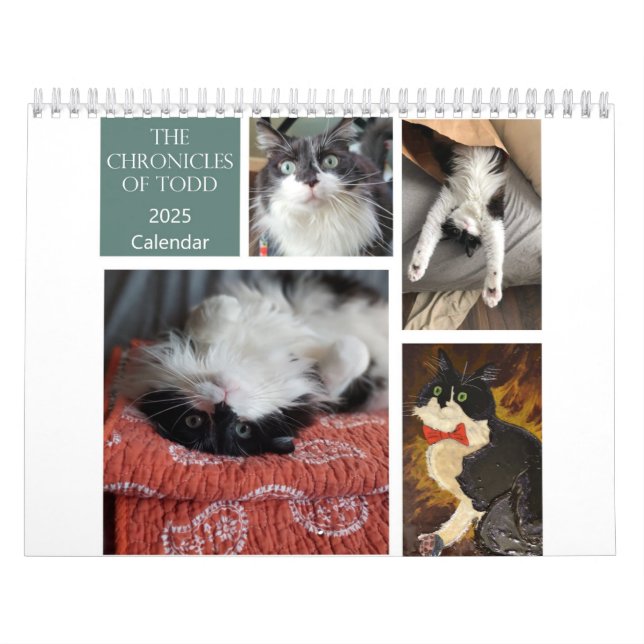Die Chroniken des Todd-2025-Kalenders Kalender (Titelbild)