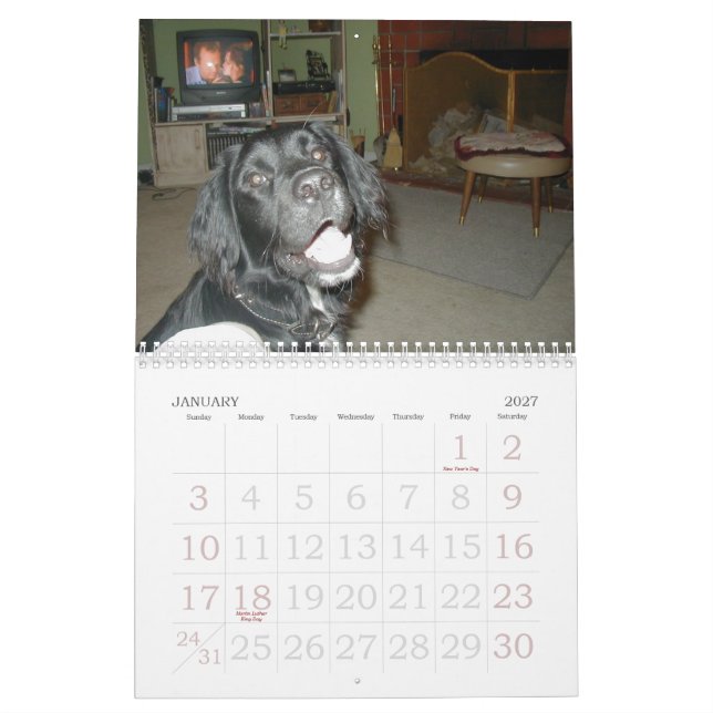 Die Cicoletti Familie Kalender (Jan 2027)