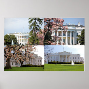 Die Collage des Weißen Hauses Poster