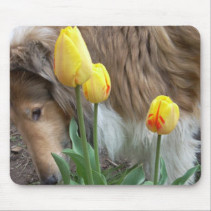 Die Collie und die Tulips Mousepad