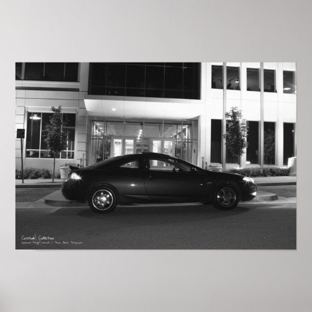 Die Cougar Poster (Vorne)