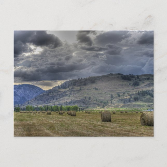 Die Crop ist da. Postkarte von Midway B.C. (Vorderseite)