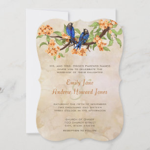 Die Cut Coral Navy Vintag Love Bird Tain Einladung