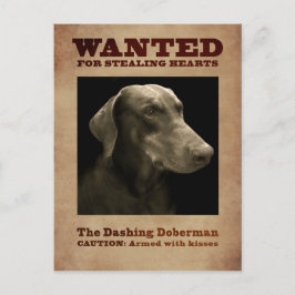 Die dashing Doberman Postkarte