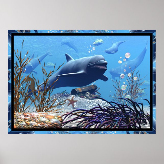 Die Delphine und die Schatztruhe Poster (Vorne)