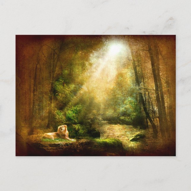 Die Demut des Königs Postkarte (Vorderseite)