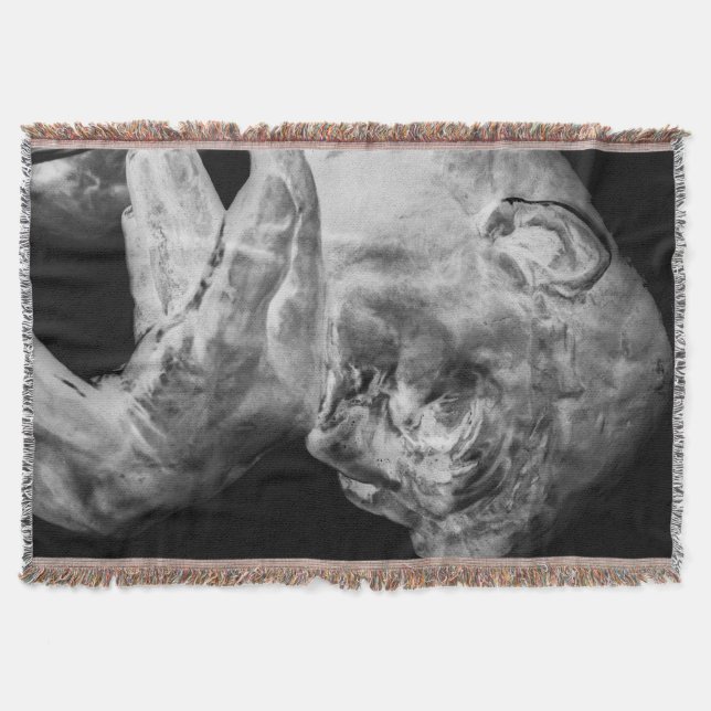 Die Denker-Wurfs-Decke Decke (Vorderseite)