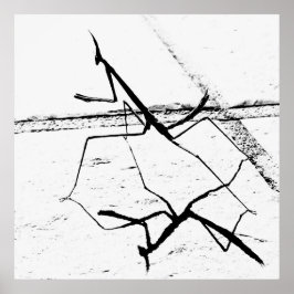 Die Denkmäler Poster