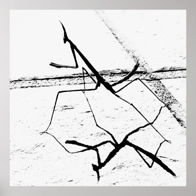 Die Denkmäler Poster (Vorne)