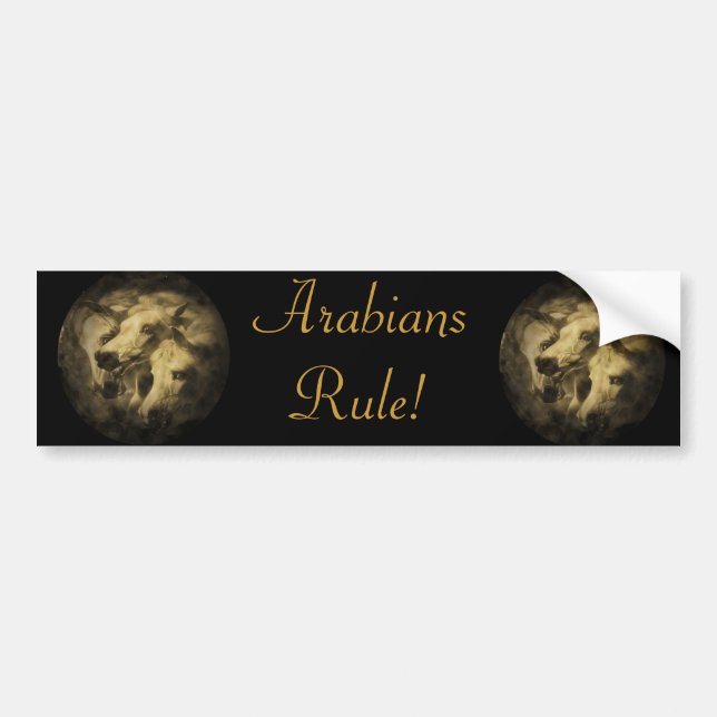 Die Des Pharoahs Pferde Autoaufkleber (Vorne)