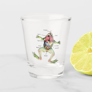Die Die Anatomie-Illustration des Frosches Schnapsglas