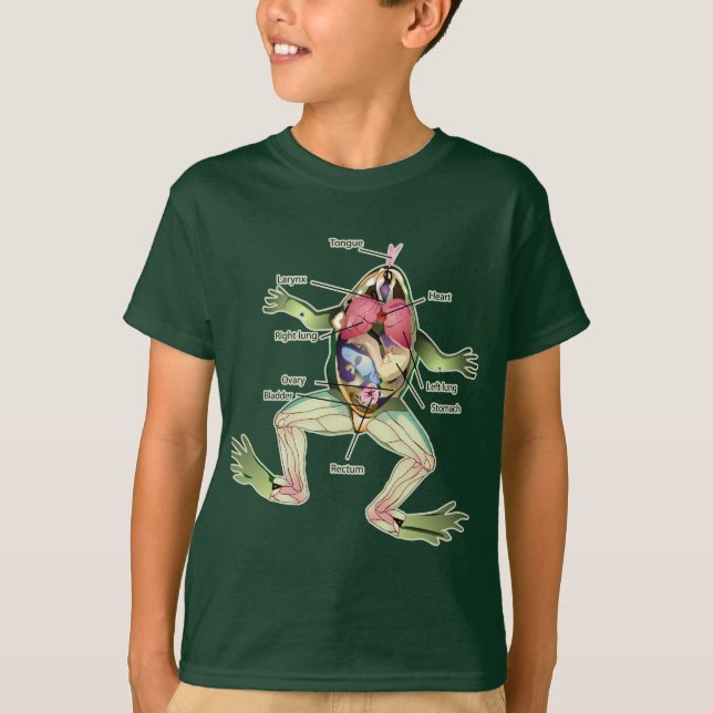 Die Die Anatomie-Illustration des Frosches T-Shirt (Vorderseite)